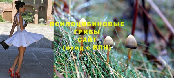 ГАЛЛЮЦИНОГЕННЫЕ ГРИБЫ Балабаново