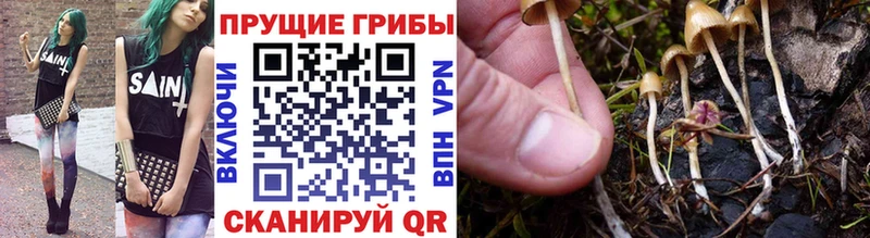 Галлюциногенные грибы мицелий  hydra зеркало  Чусовой  магазин продажи наркотиков 